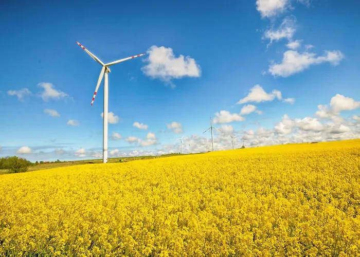 Сasa de vacaciones Family Baltic Getaway Zizow